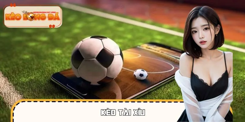 Kèo Tài Xỉu Đang “Lên Sóng”, Vào Xem Là Muốn Tham Gia Ngay