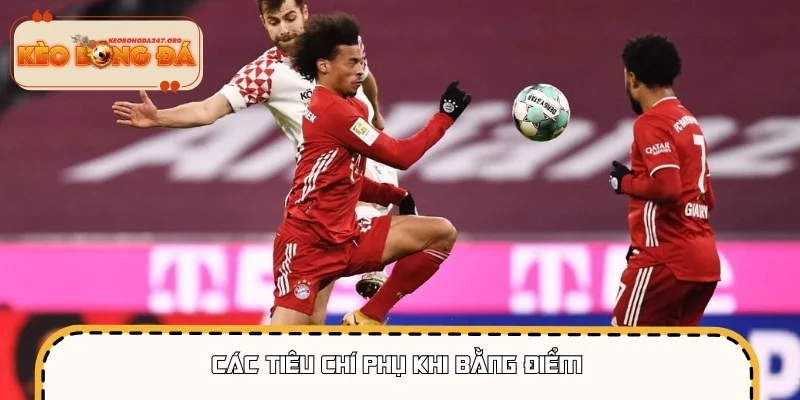 So sánh chỉ số phụ giữa các đội tham gia