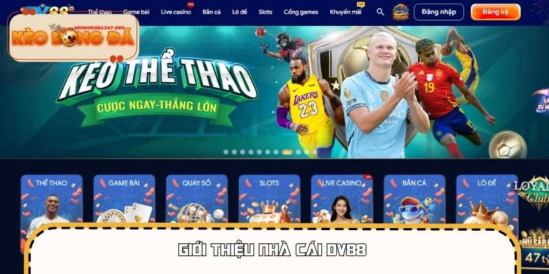Giới thiệu nhà cái DV88