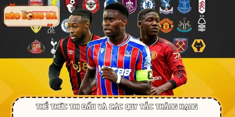 Sơ đồ thể thức thi đấu và quy trình thăng xuống hạng