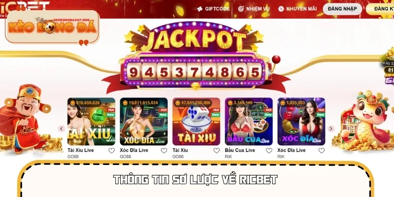 Thông tin sơ lược về RICBET